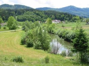 Der Fluss Dreta in Nazarje, einige hundert Meter vor der Mündung in den Fluss Savinja